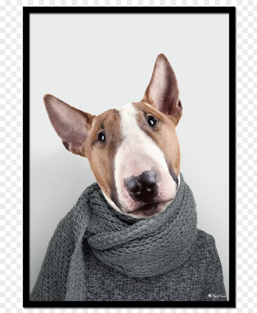 Bull Terrier Miniature And English White Dog Breed PNG