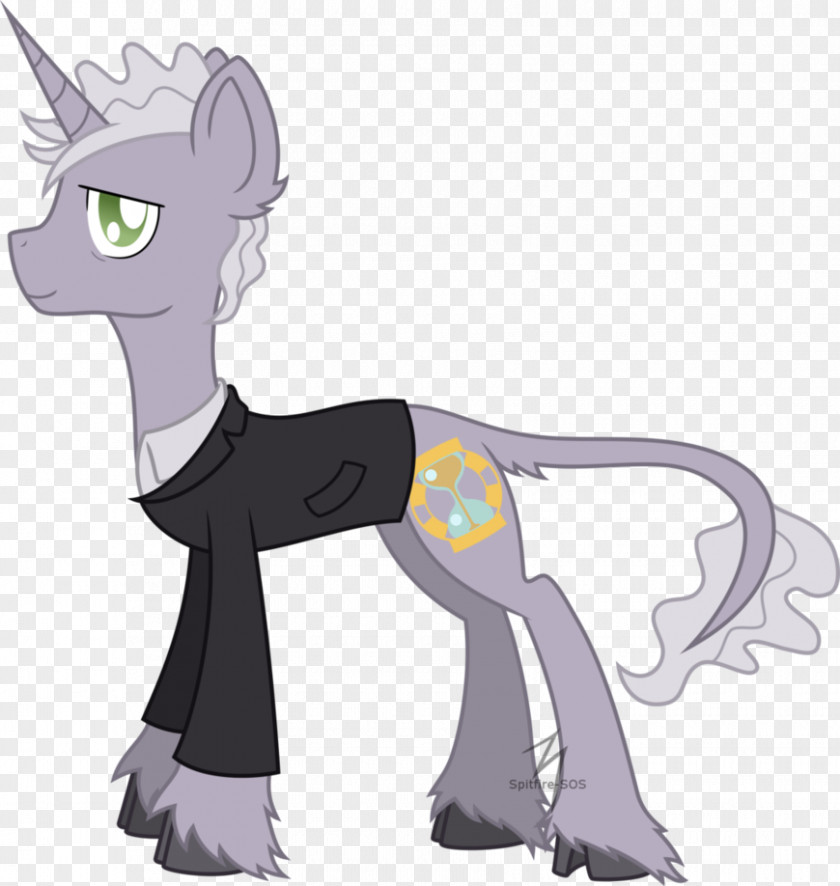 Cat Pony Twelfth Doctor Eighth PNG