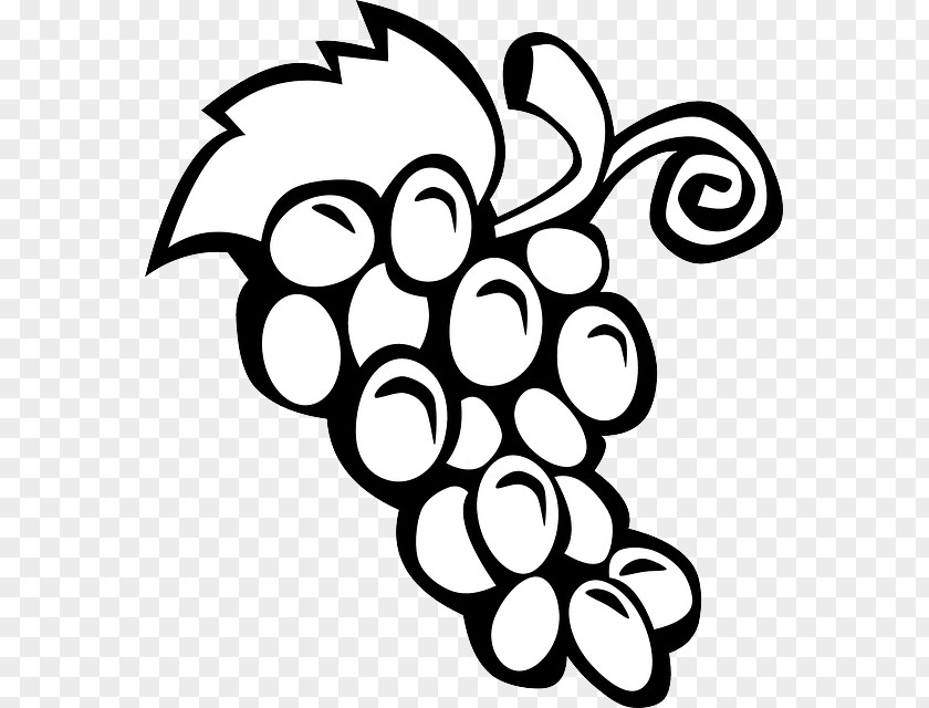 Grape Outline Wine Common Vine Clip Art PNG