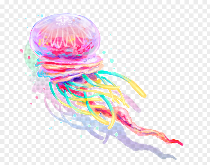 Jelly Lion's Mane Jellyfish Transparency And Translucency Clip Art PNG