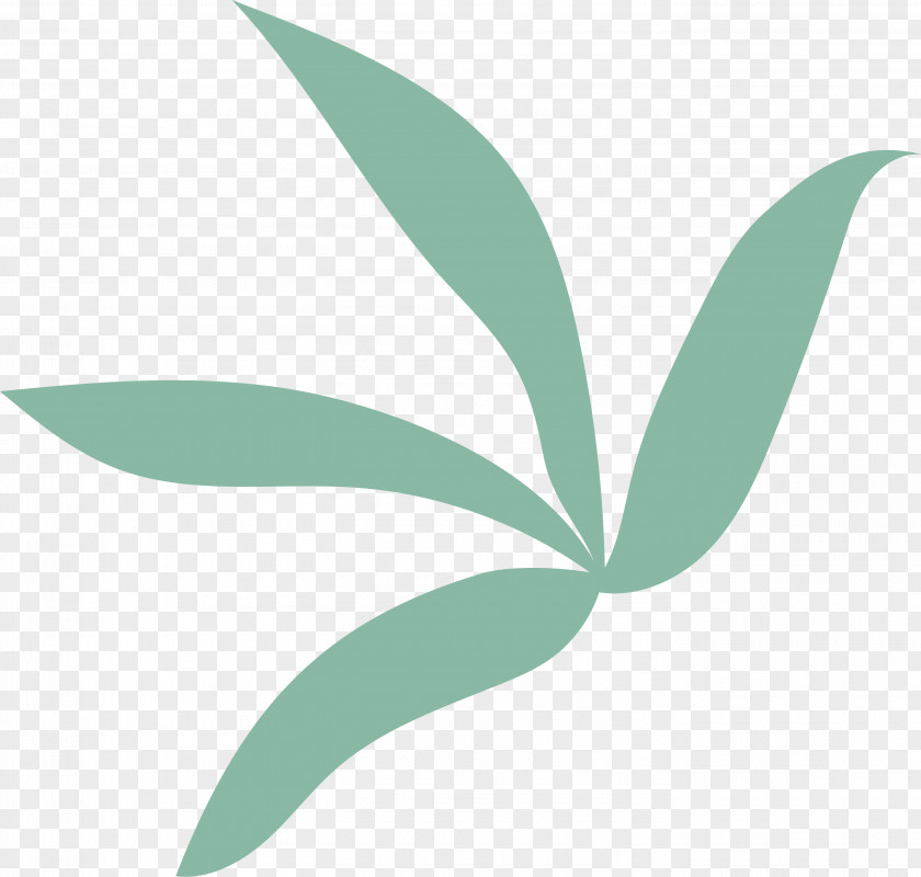 Leaf Plant Stem Green Font Meter PNG