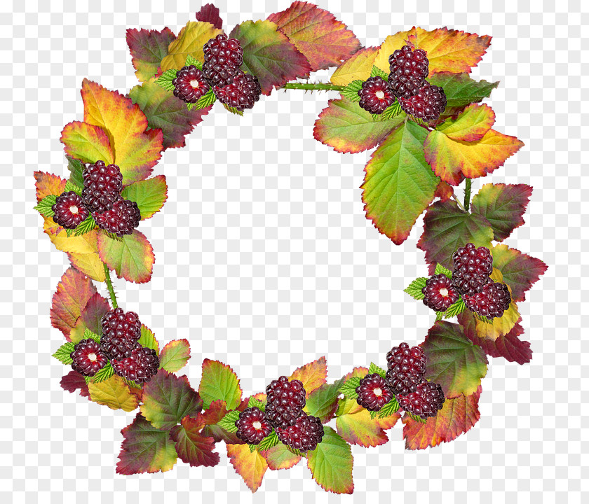 Autumn Wreath Image Stock.xchng PNG