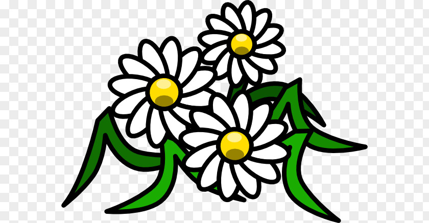 Clip Ar Free Content Common Daisy Art PNG