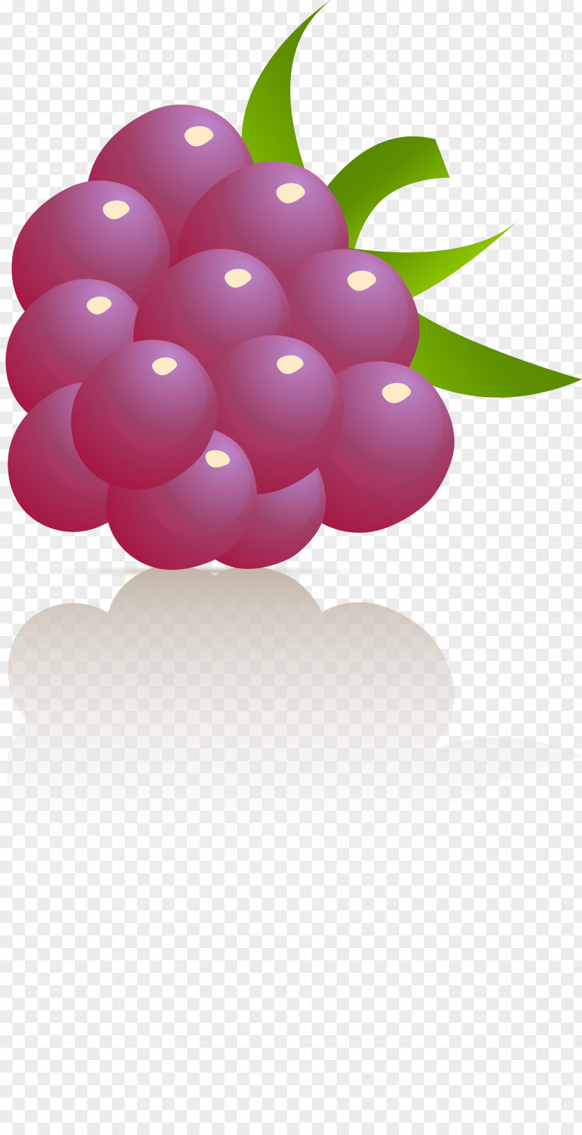 Common Grape Vine Juice Cocktail Fizzy Drinks PNG