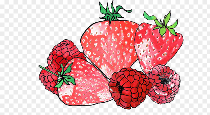 Fruit Drawn Strawberry Vegetable Superfood Natural Foods PNG