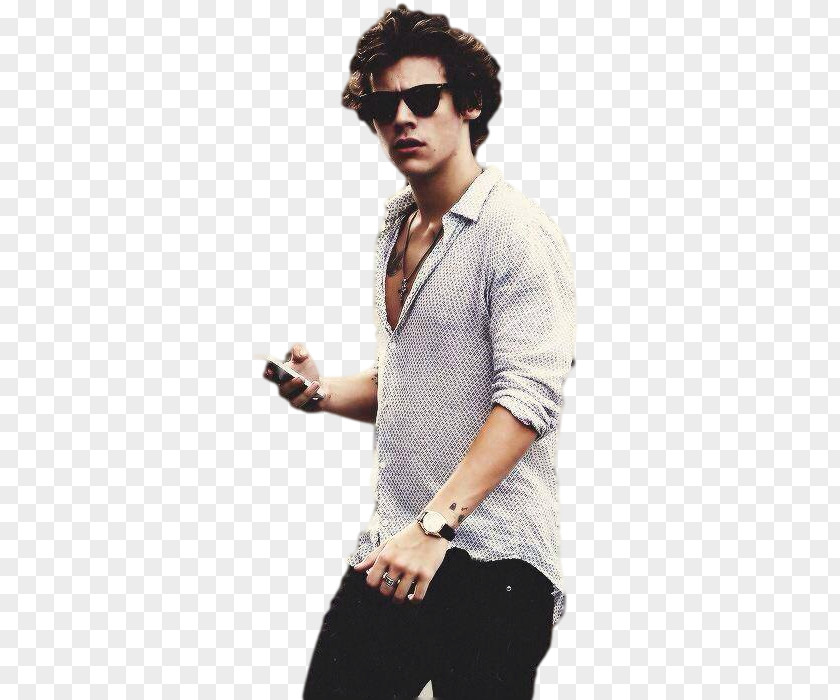 One Direction Harry Styles Holmes Chapel MUNA PNG