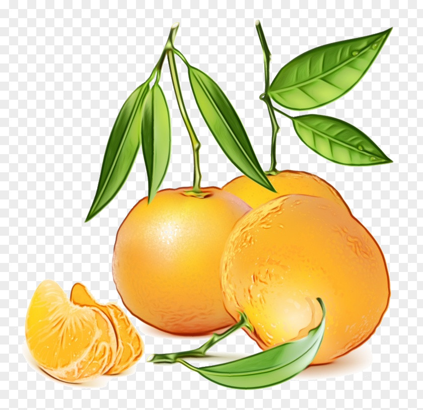 Vegetarian Food Orange PNG