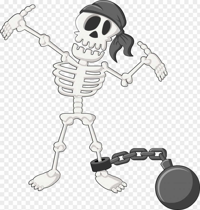 White Skeleton Sailor Human Skull Illustration PNG