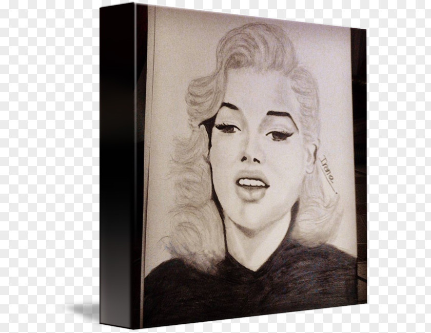 Marilyn Monroe Drawing Work Of Art Painting PNG