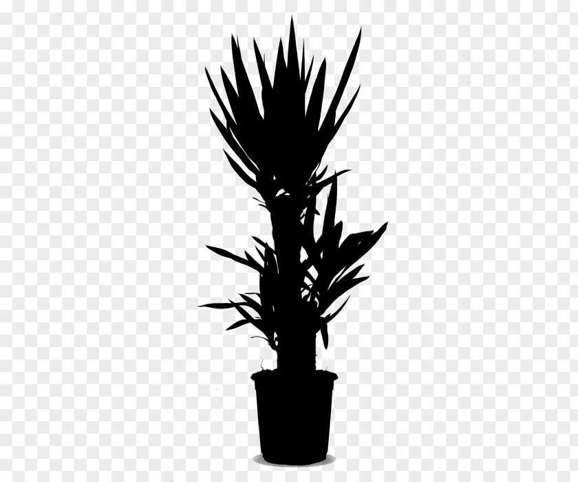 Palm Trees Flowerpot Houseplant Plant Stem PNG
