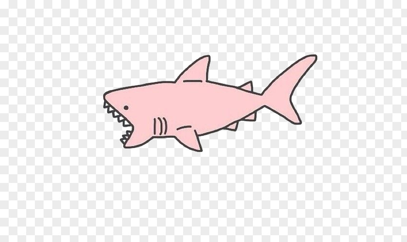 Shark Blue Drawing Great White PNG