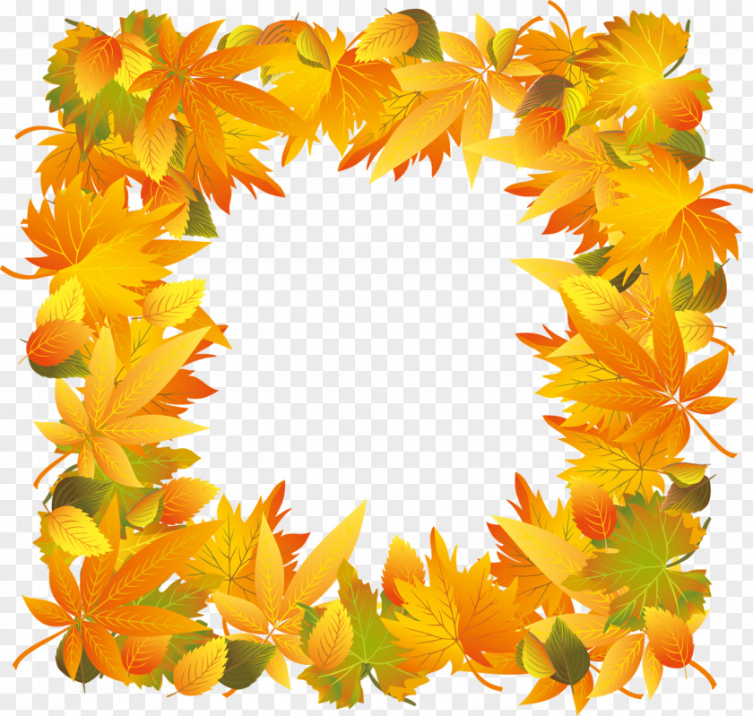 Autumn Borders And Frames Thanksgiving Picture Clip Art PNG