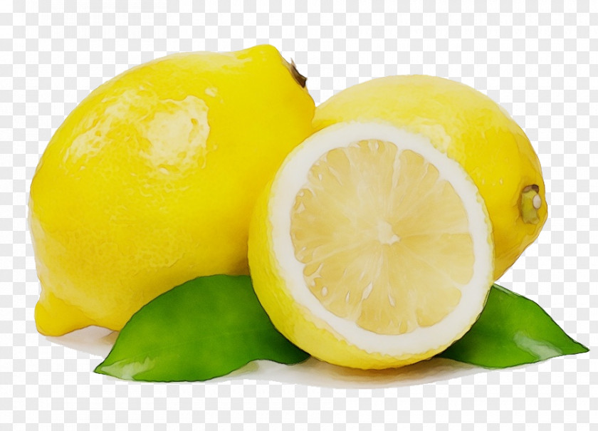 Citron Natural Foods Watercolor Liquid PNG