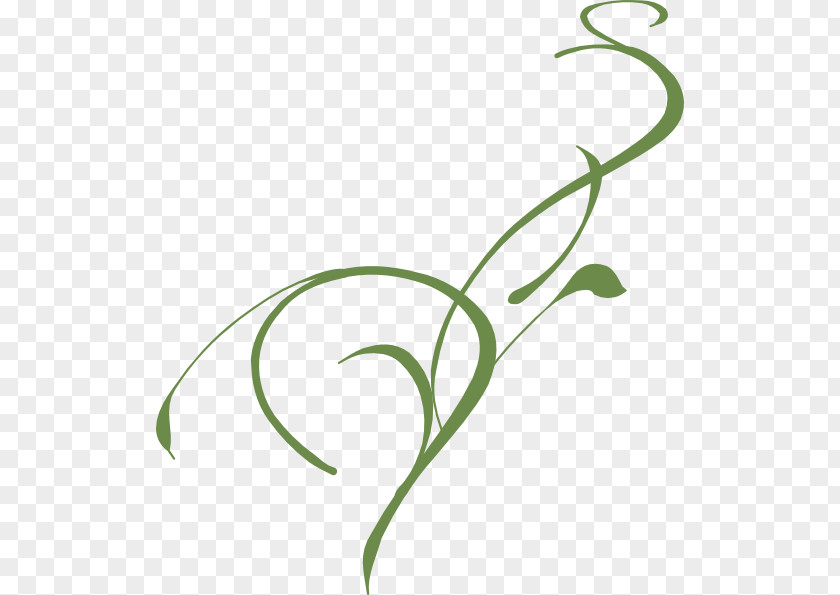 Floral Scroll Clip Art PNG