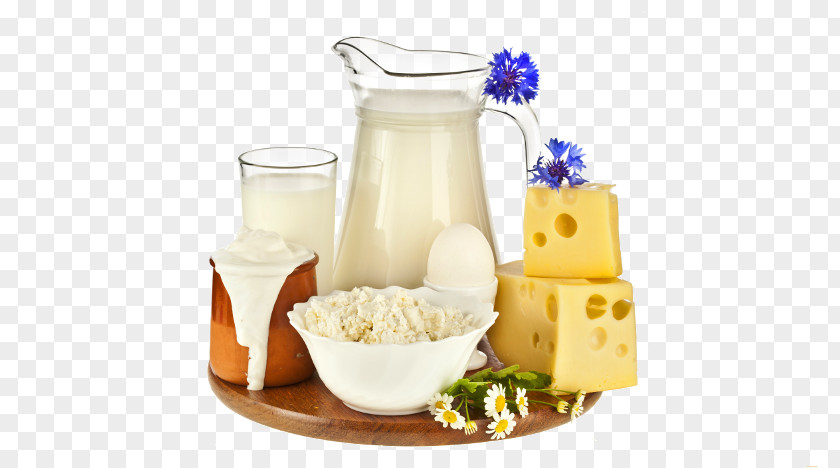 Milk Soured Cream Kefir Dairy Products PNG