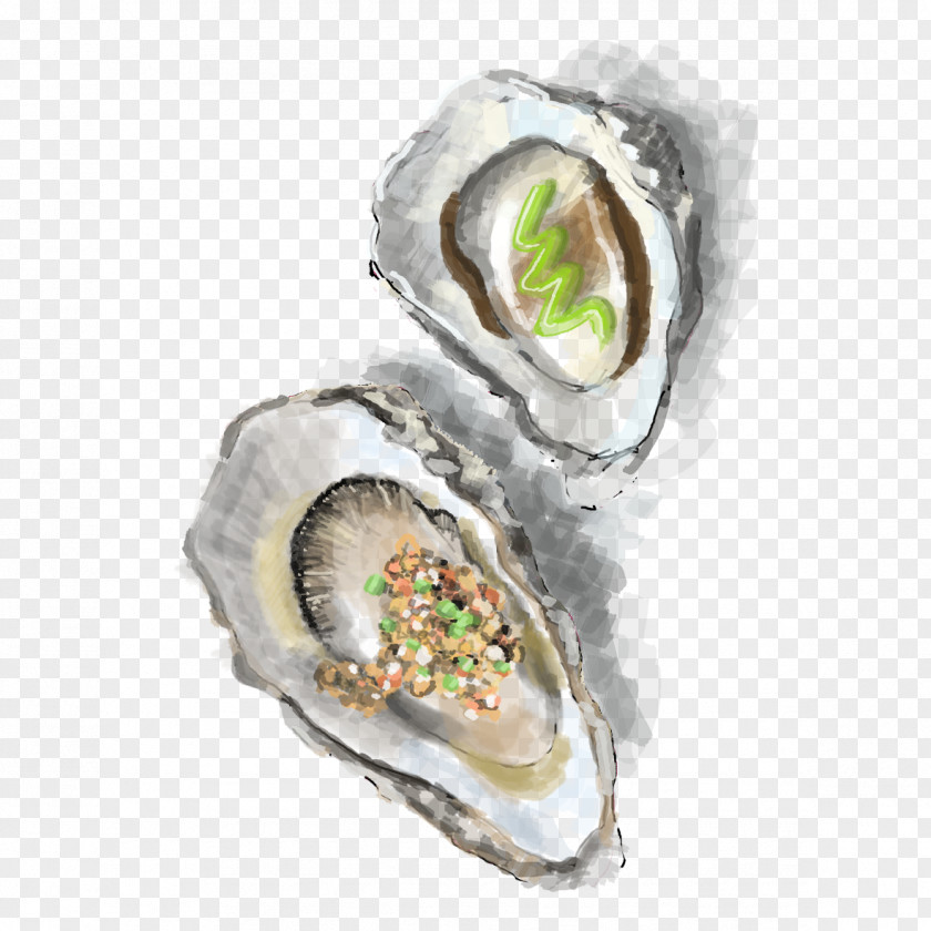 Painted Oysters Free Downloads Oyster Download PNG