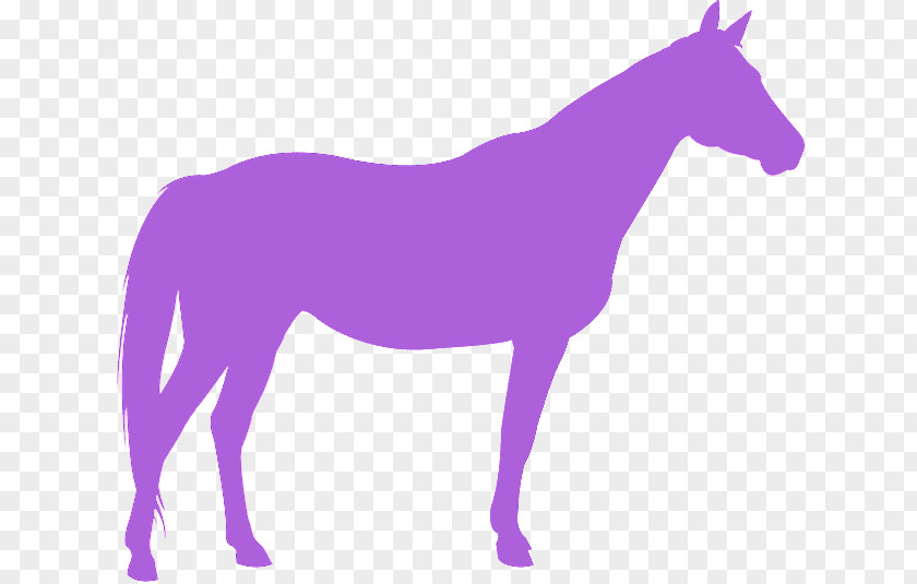 Silhouette Animal Figure Purple Violet Horse Mane Mare PNG