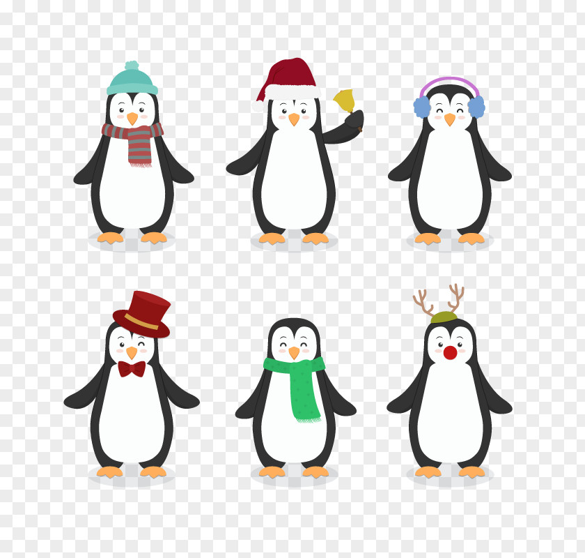 Vector Christmas Penguin Bird Cartoon Drawing PNG