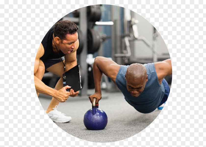 Welcome Vip Treatment Personal Trainer Fitness Centre Exercise Physical PNG