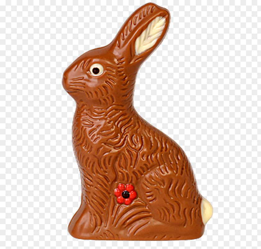 112 Hare PNG