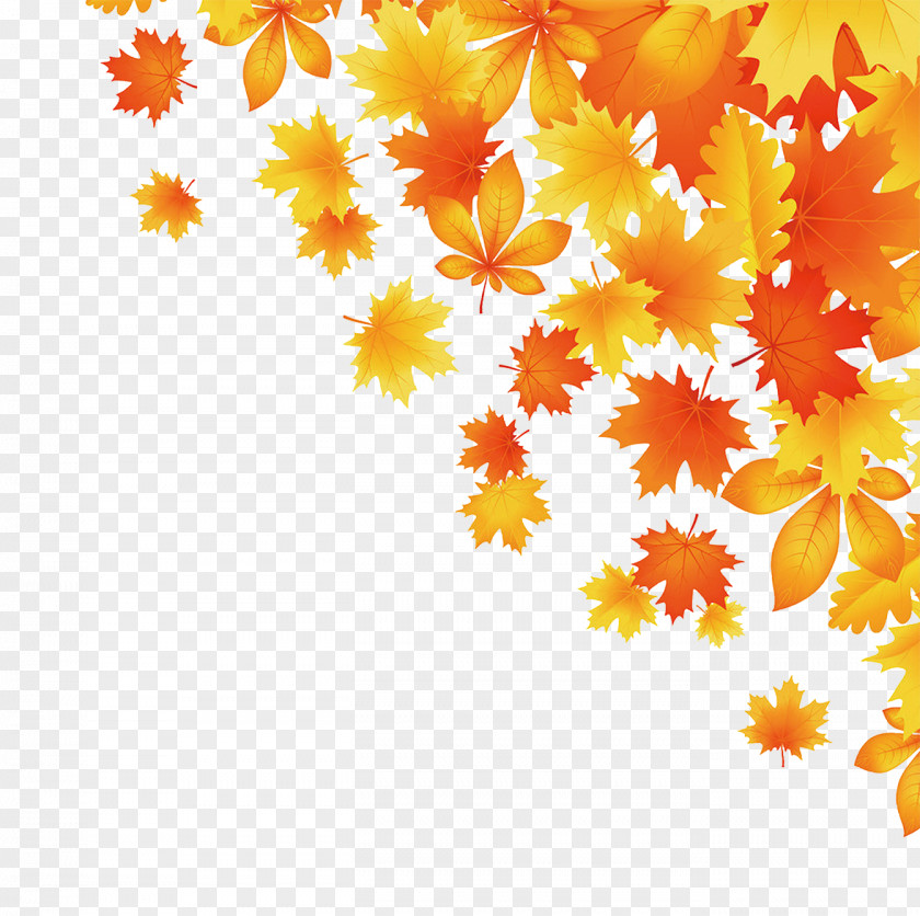 Autumn Leaves Decoration Maple Leaf PNG