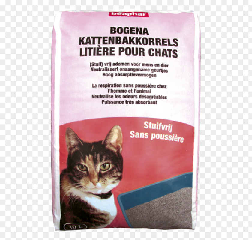 Cat Whiskers Litter Trays Liter Rodent PNG
