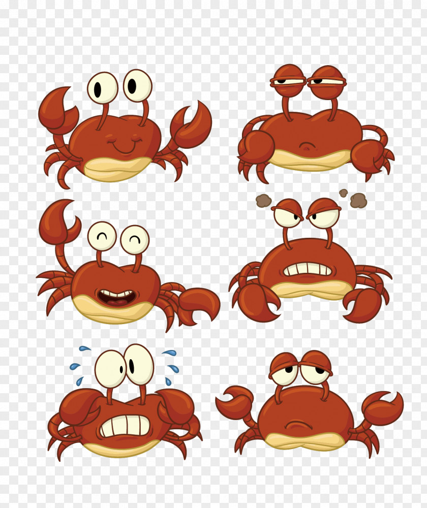 Crab Cartoon Drawing PNG
