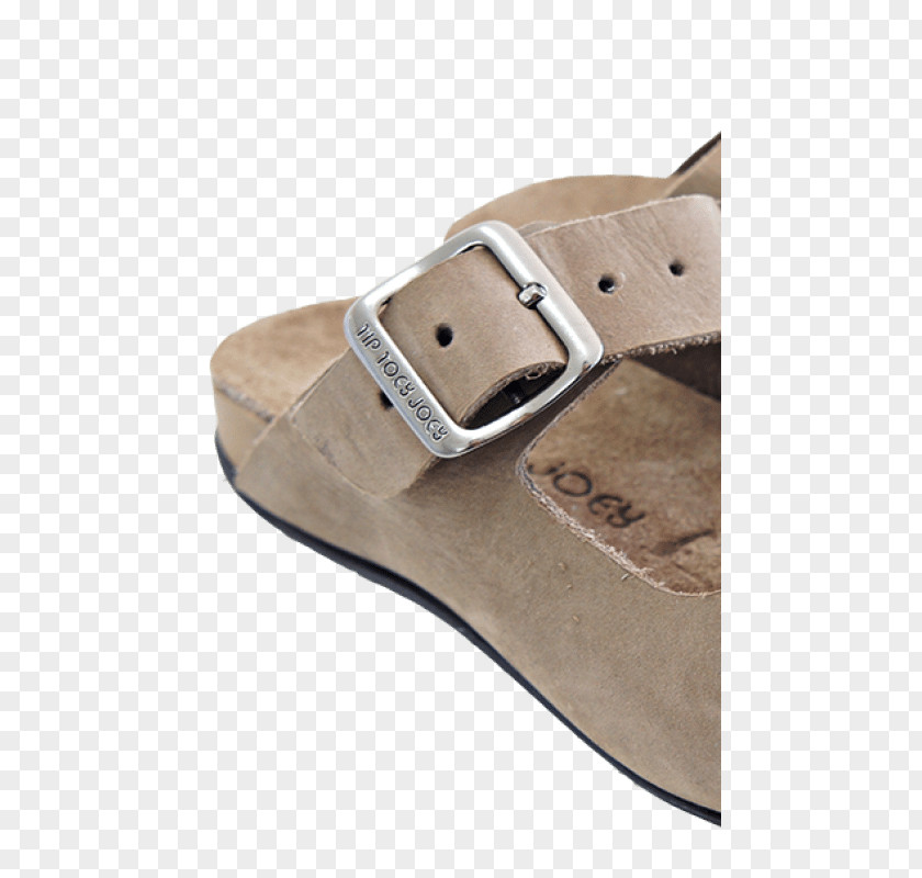 Sandal Strap Suede Buckle Shoe PNG