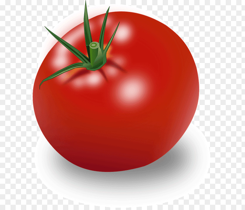 Vegetable Hamburger Cherry Tomato Ripening Clip Art PNG